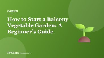 How to Start a Balcony Vegetable Garden: A Beginner’s Guide