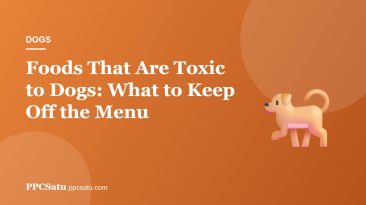 Foods That Are Toxic to Dogs: What to Keep Off the Menu